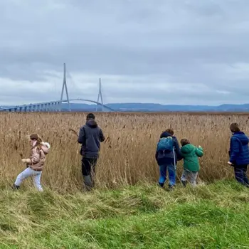 Ça bouge dans l'estuaire