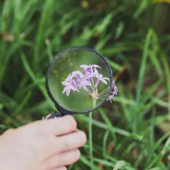 a botanique pour les nuls