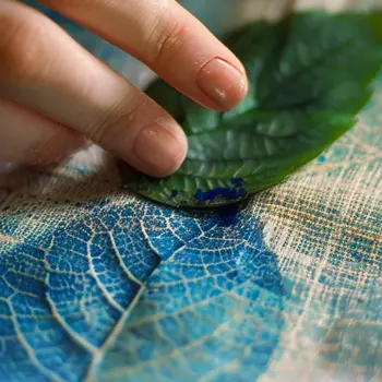 Cyanotype pour enfants