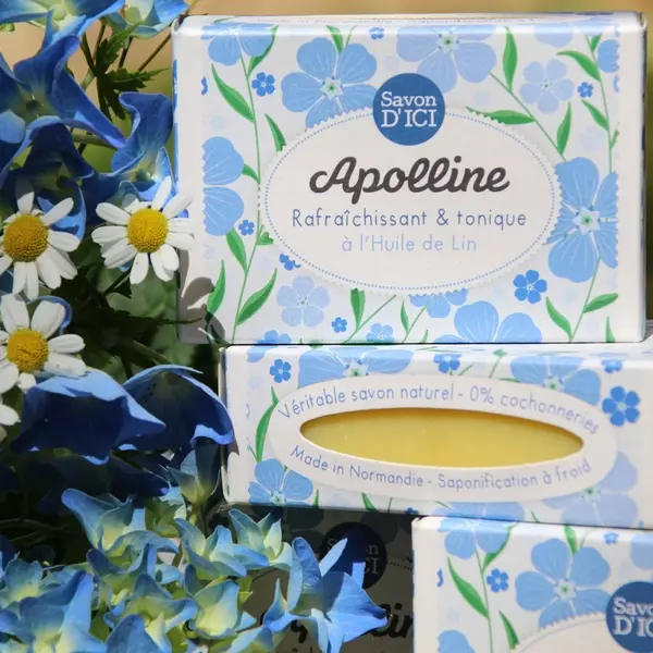 SainteMarieDesChamps_Visite1©SavonDICI-2026