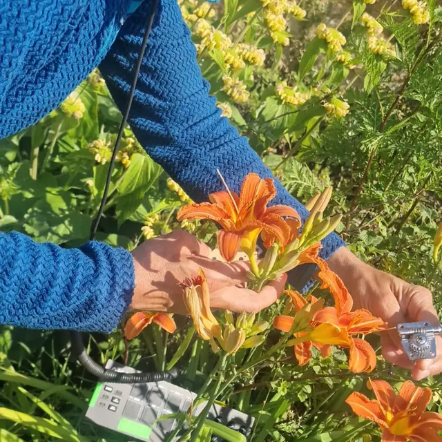 Saute_et_le_parachute_s'ouvrira[1]