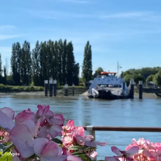 Seine-croisiere-duclair-sortie-rouen