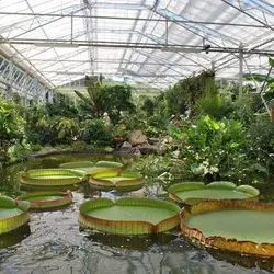 Serres Jardins suspendus