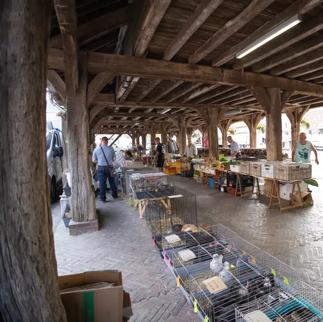 Terroir - marché - Buchy - 18.07.2022 - © Thomas Boivin  (9) (1)