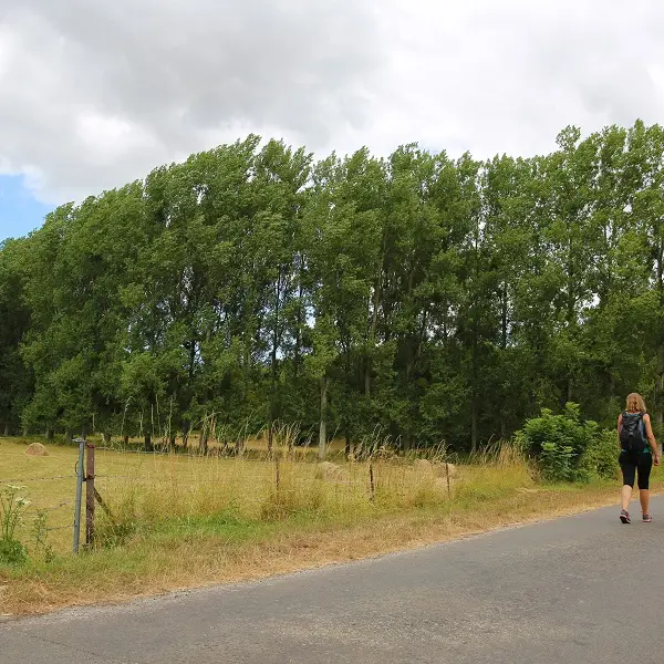 Terroir de Caux© SMA 2018-A.BEAUVOIS (29)