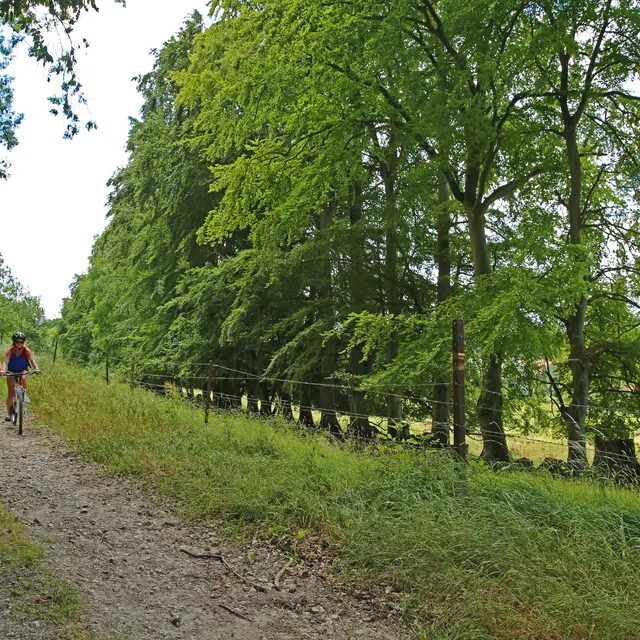 Terroir de Caux© SMA76 -A.BEAUVOIS (24)