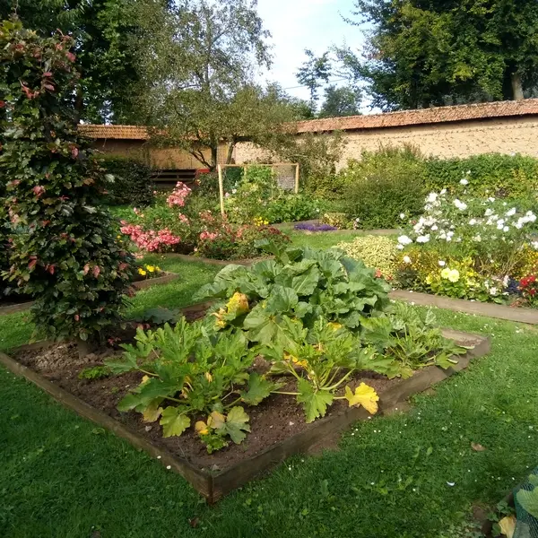 TouffrevilleLaCorbeline_ChutCaPousse©YNT-2024