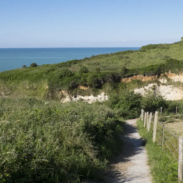Varengeville-sur-Mer - valleuse des Moutiers
