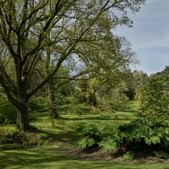 Vasterival-Printemps24-Paysages-HD-001
