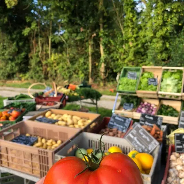 Vente en direct du producteur1