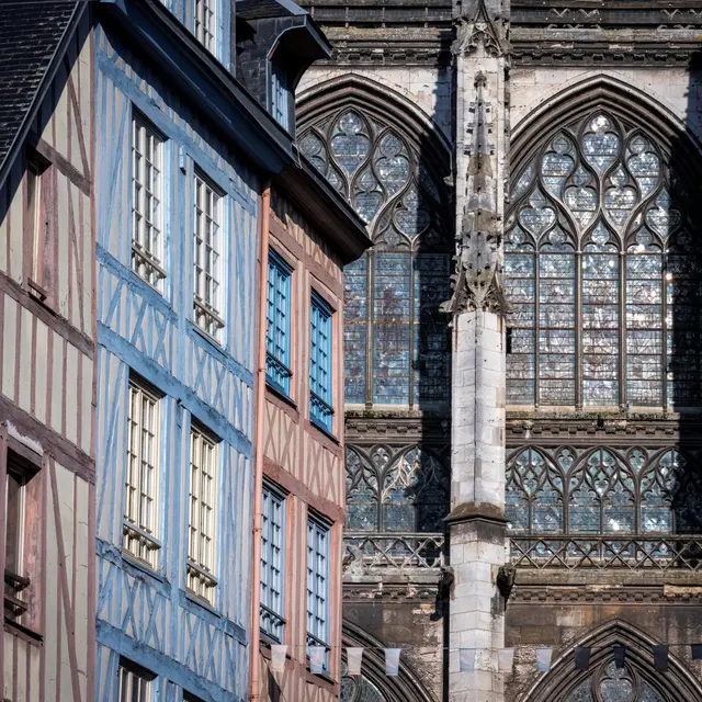 Version GYG © Benoit Eliot-Octopus-8147© Benoit Eliot