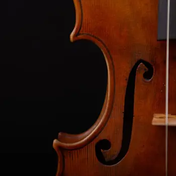 Violon