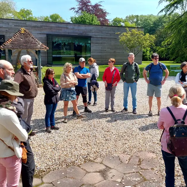 Visite guidée musée Michel Ciry