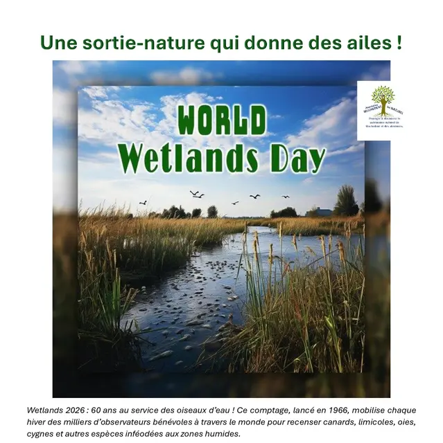 Wetlands 2026_page-0001