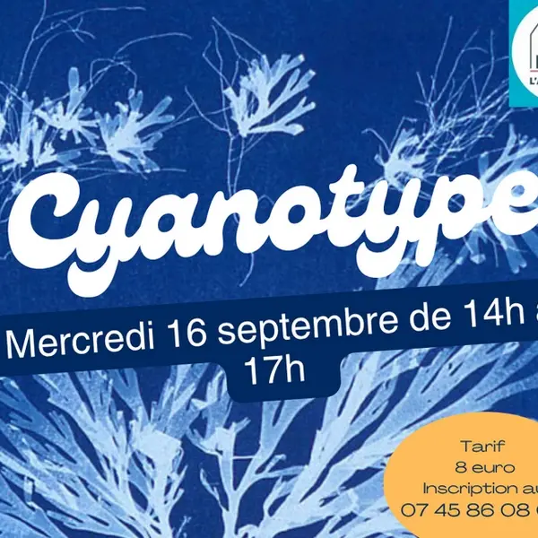 Yvetot_AtelierCyanotype2©LAssemblaye-2026