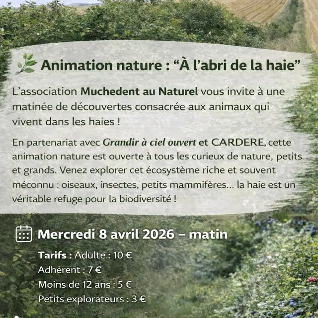 a l'abri de la haie