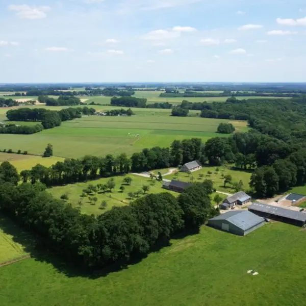 a-la-decouevrte-de-sclos-masures (1)