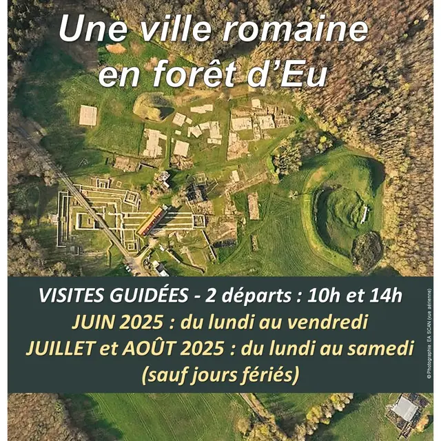 affiche briga juin - juillet - août