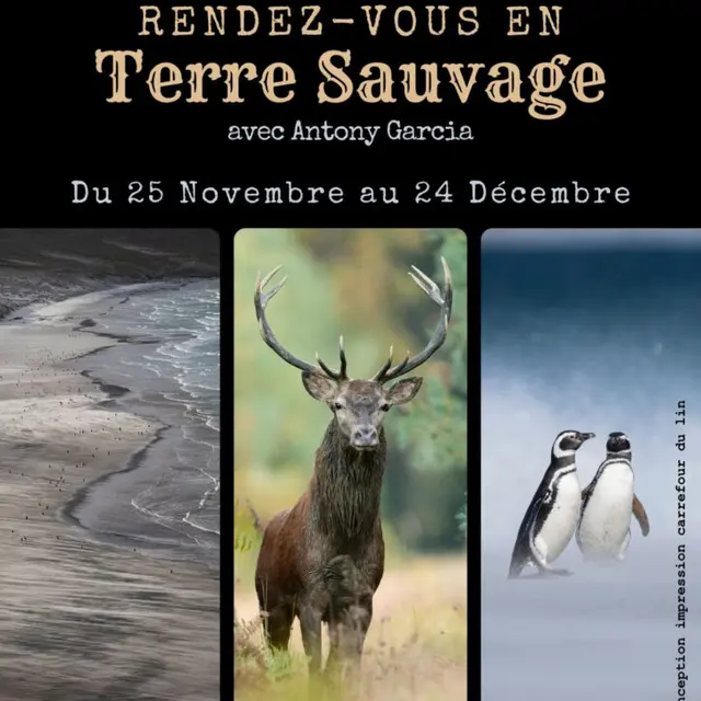 Affiche RDV en Terre Sauvage - 1