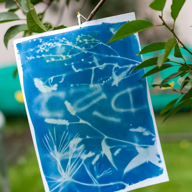 anna-k-MSrfkLpgEAY-unsplash