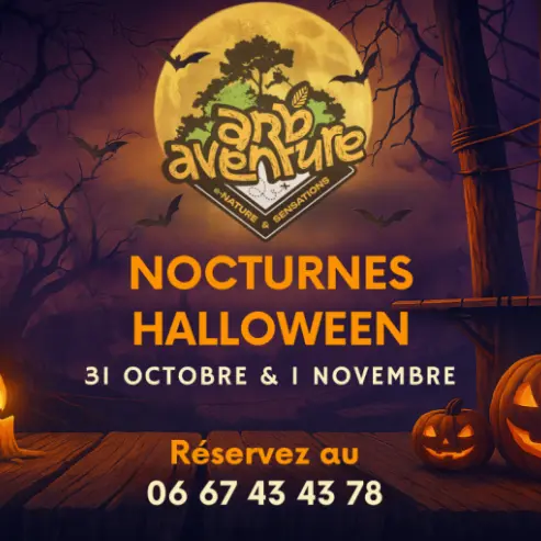 Nocturne accrobranche