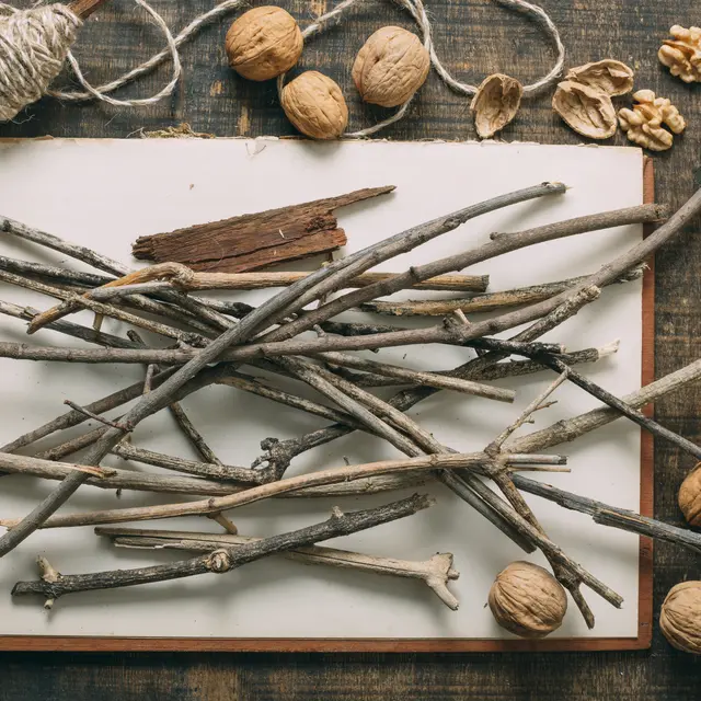 Atelier baguettes de sorcier(e)