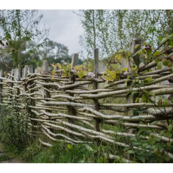 atelier-clayonnage-fascinage-Wolfstatze_Pixabay-945x630