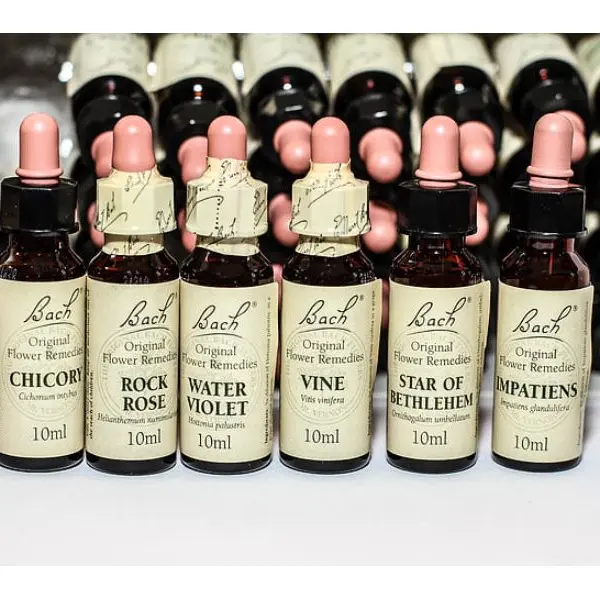 bach-flowers-bach-remedies-alternative-medicine-naturopathy-preview (1)