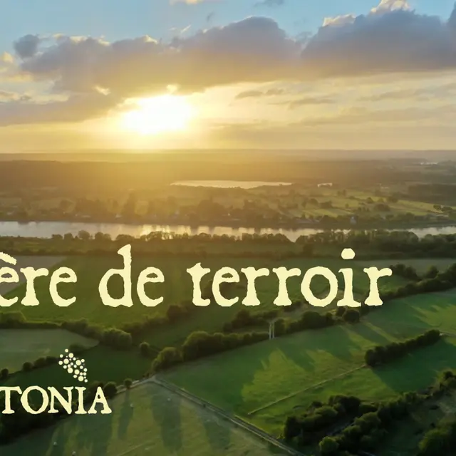 bierre-de-terroir-brotonia-arelaune-en-seine©Brotonia