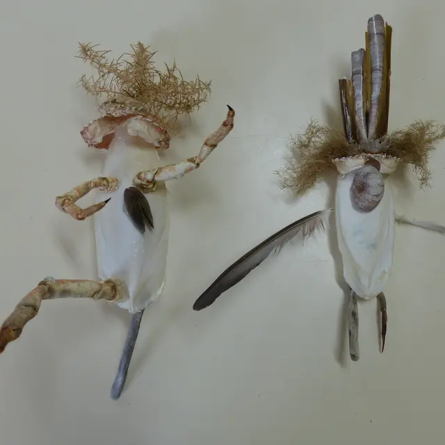 bois flotté