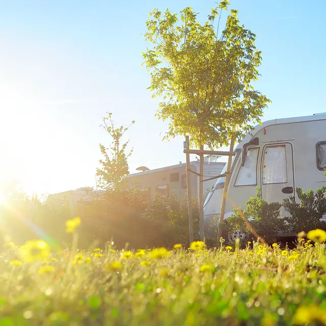 Camping-car