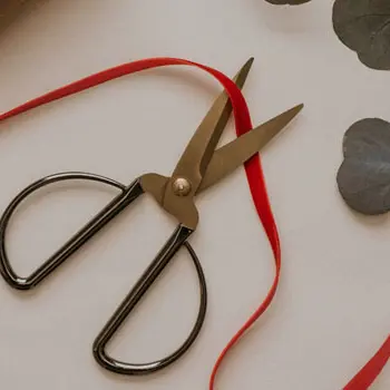 c_est_moi_qui_lai_fait