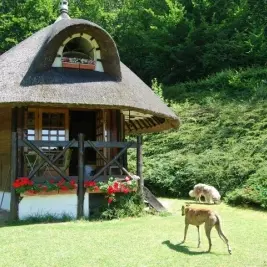 Chalet-gite-forestier-maulevrier-sainte-gertrude