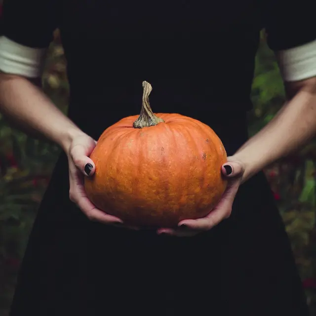 citrouille halloween