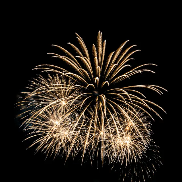 Abstract colorful firework display for celebration anniversary