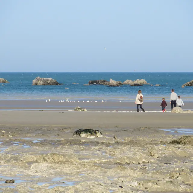 Côte d'albâtre