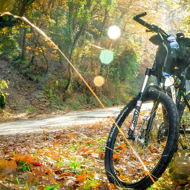 VTT