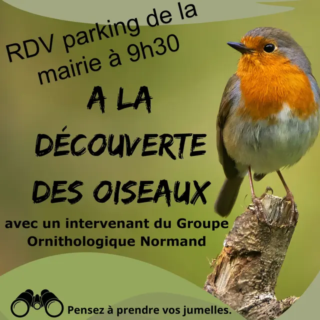 découverte oiseau 17mai préaux_page-0001 (1)