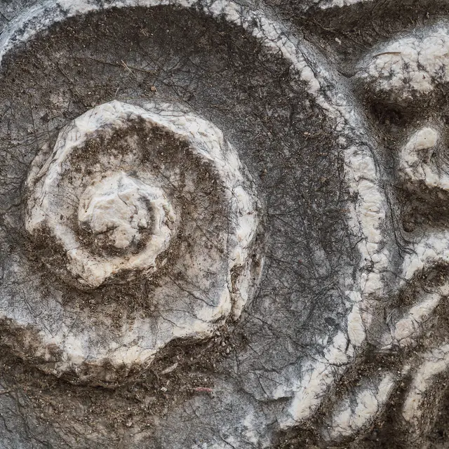 details of the capital of the columns on the ruins of a Greek temple with a beautiful marble carving, the history and heritage of ancient civilizations in the Aegean region of Turkey, vacation travel