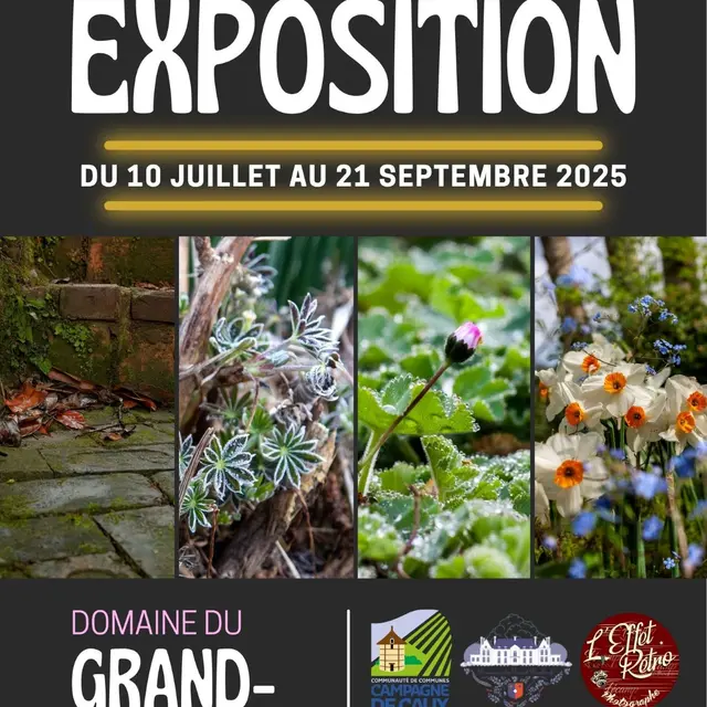 expo-photo-4-saisons