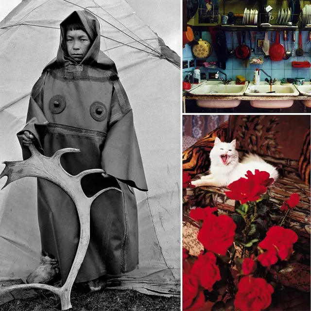 exposition_matiere_terrestre_de_francoise_huguier_au_centre_photographique_rouen_normandie_mai_-_septembre_2025