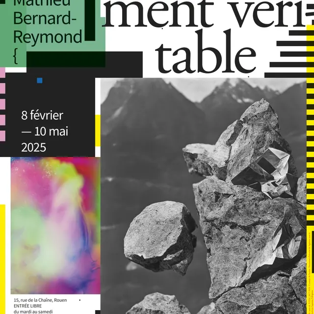 exposition_un_sentiment_veritable_de_mathieu_bernard-reymond