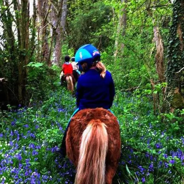 Ferme équestre Bois-Guilbert