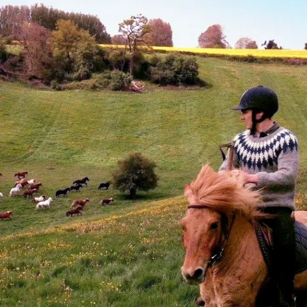 ferme equestre de bois-guilbert
