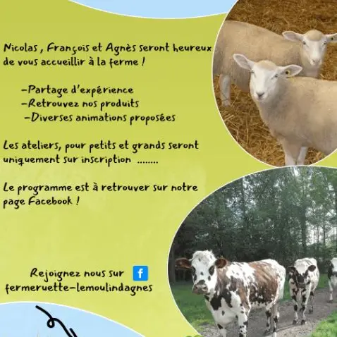 Ferme ruette animations