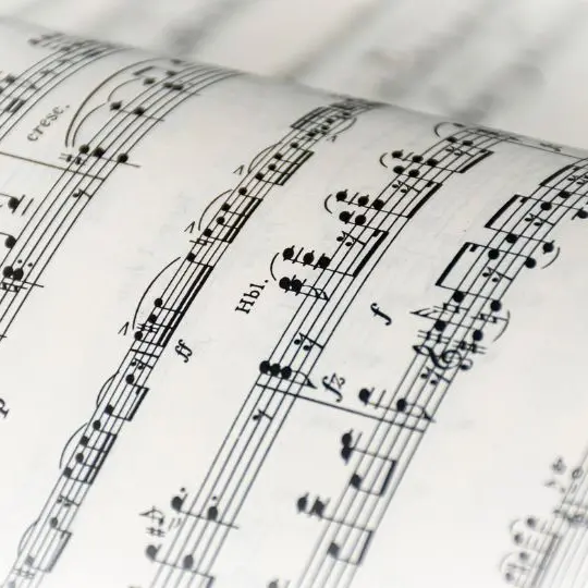 fete musique croco