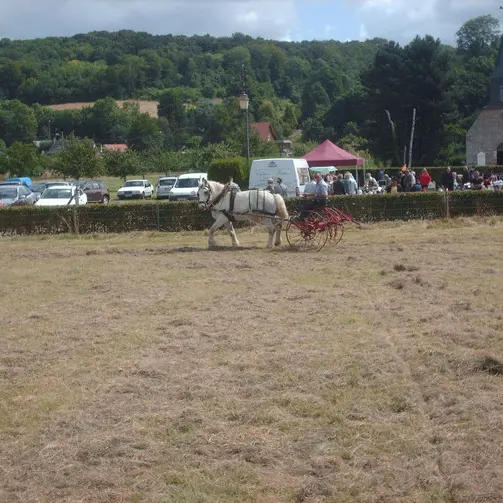 Fête du foin Saâne Saint Just