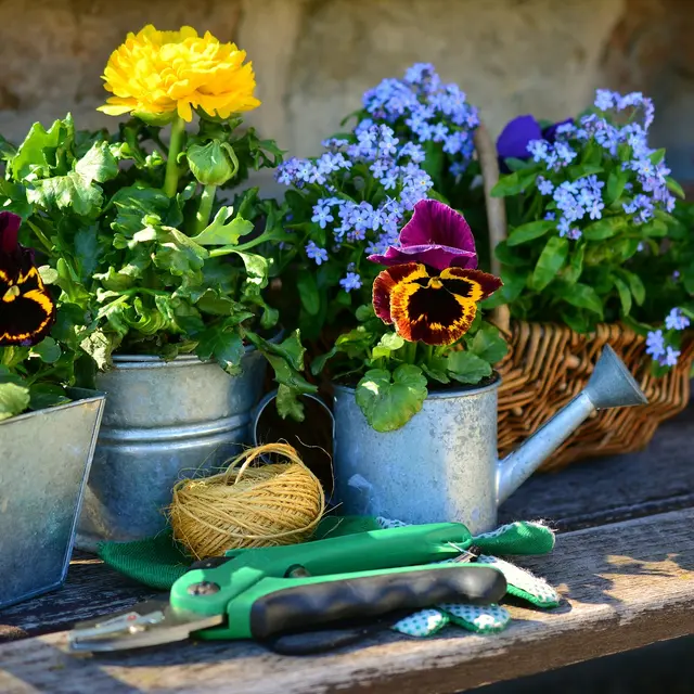 jardin