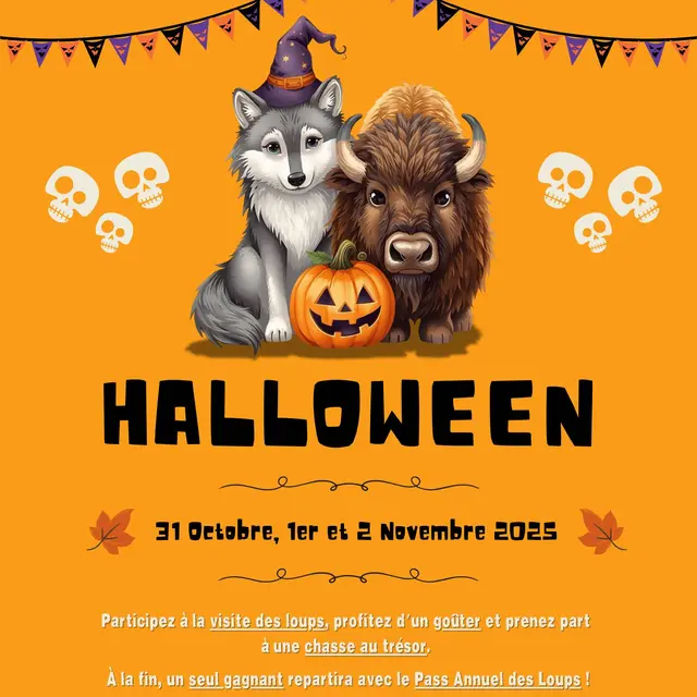 haloween revedebisons