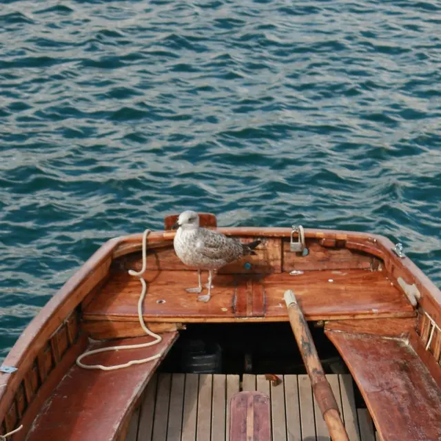 hendrik-kuterman-tWHRklcWfc4-unsplash (1)